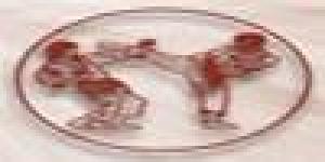 Shotokan Karate Club