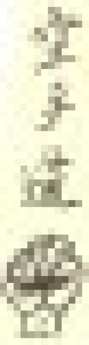 Karate Do Taishin Lodi