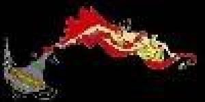 ANISOARA SHOW DANCE ACADEMY