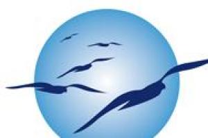 Noem - No Effort Management