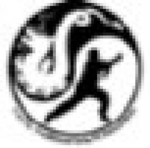 T.K.F.A - Traditional Kung-Fu Association