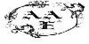 Accademia di Arte Estetica