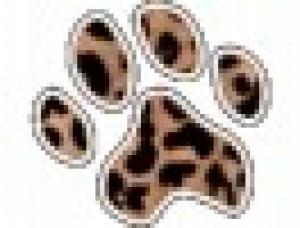 Centro Cinofilo - Educativo Wild Dog