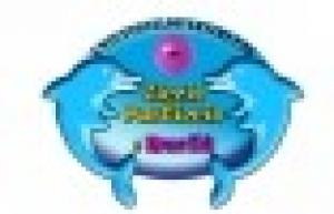 Un Tuffo nel Divertimento