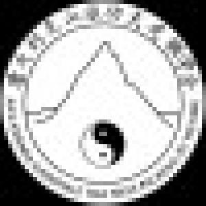 Zen Shin Club Italia