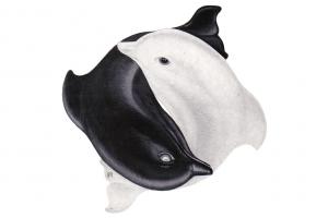 Scuola Italiana di Mesoterapia e Agopuntura