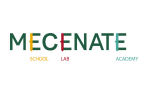 ISTITUTO MECENATE SRL