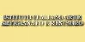 Istituto Italiano Arte Artigianato e Restauro