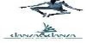 danza&danza - DANZA MUSICA TEATRO...e non solo!