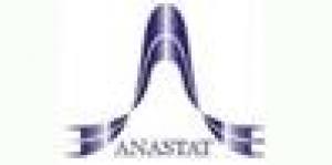 Associazione Nazionale degli Statistici