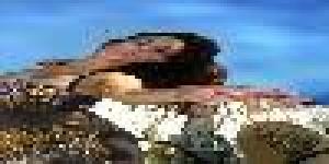 Scuola di Danza del Ventre