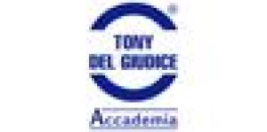 Accademia Professionale per Parrucchieri Tony del Giudice