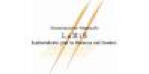 Laris - Progetti Musicali