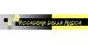 L'Accademia della Musica