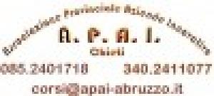 Associazione Provinciale Aziende Innovative