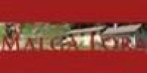 Trekking a cavallo Malga Lora