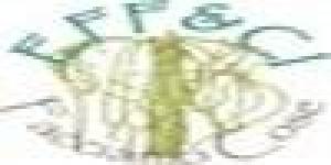 eff&ci - facciamo cose