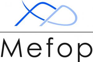 Mefop S.p.A.