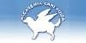 Accademia Cani Guida