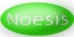 Noesis