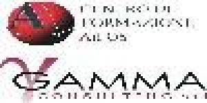 C.F.A. Gamma Consulting