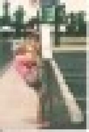 Centro Culturale Melograno