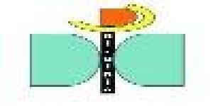 Dirdipiù - Lingue nel Mondo