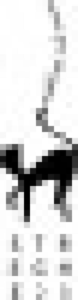 Streghe Eventi Weddings & Events