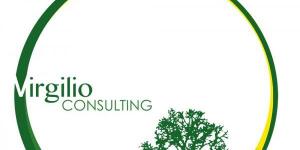 Virgilio Consulting Srl