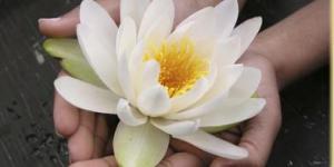 Il Sentiero dell'Anima