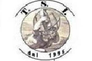 T.S.I. s.r.l. - Unipersonale