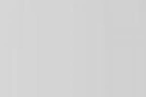 Accademia Europea dio Scienze Criminologiche e Forensi-A.E.S.Crim