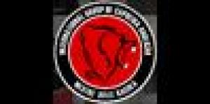 Gruppo Internazionale di Capoeira Aboliçao