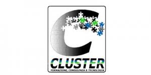 Cluster