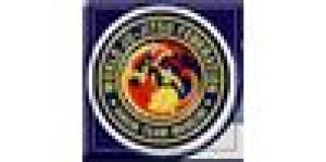 Ju-Jitsu Wjjf Cremona