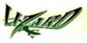 Accademia Lizard Messina