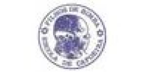 Capoeira Regional Filhos De Bimba