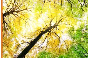 Associazione Solaris