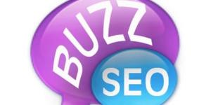 SEO BUZZ