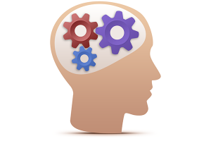 SFWEB - Web Agency