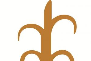 NEW AURAMEETING