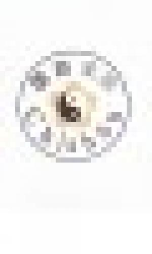 Chishòu