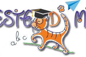 Le Feste di Mirtillo School