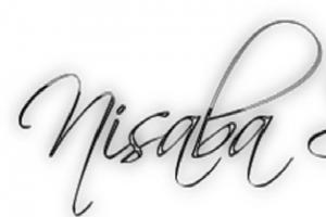 Nisaba Solution