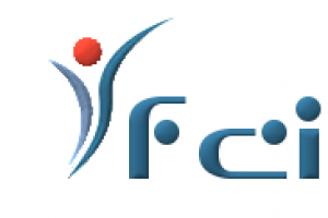 Fci Srl