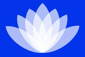 yogabassano.it