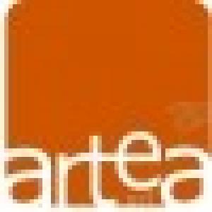 Artea Studio Srl