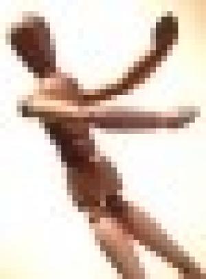 PerformerZen®