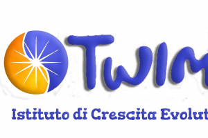Twimt Institute
