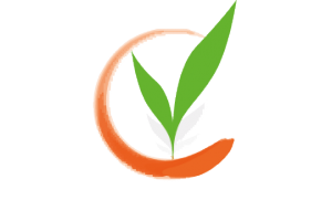 Ricerca Moderna SRL
